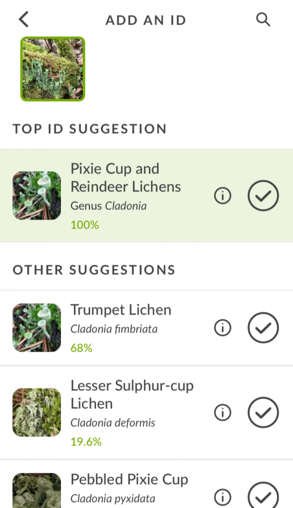 The iNaturalist identifier tool provides options for an image of lichens